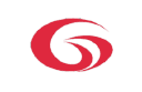 G-Vision International (Holdings) Limited