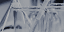 Daewoong pharmaceutical Co.,Ltd