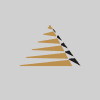 Silver Tide Holdings Limited
