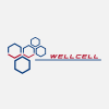 WellCell Holdings Co Ltd