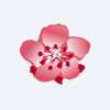 China Airlines, Ltd.