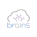 Brains Technology, Inc.