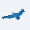 Shanying International Holdings Co.,Ltd