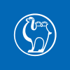Camel Group Co., Ltd.