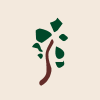 PADAUK Technology Company Limited