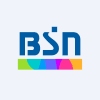 BSN Media Holdings, Inc.