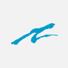 Agassi Sports Entertainment Corp.