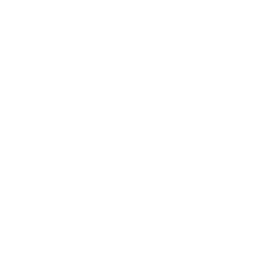 AbbVie Inc.