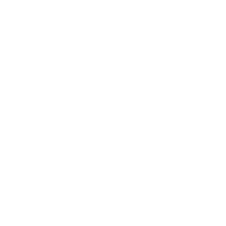 Cardano USD