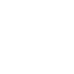 Aidos Kuneen USD