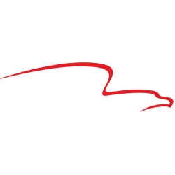 American Financial Group, Inc.