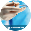 Spineway S.A.