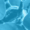 AlzeCure Pharma AB