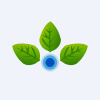 Anupam Rasayan India Limited