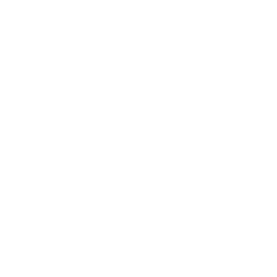 Arbe Robotics Ltd.