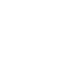 Axon Enterprise, Inc.