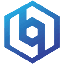 Bagus Wallet USD