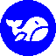 BigShortBets USD