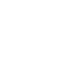 Bridgeline Digital, Inc.