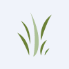 Biloxi Marsh Lands Corporation
