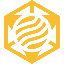 Binance Multi-Chain Capital USD