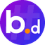 BNSD Finance USD