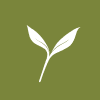 Banyan Corp.