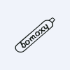 Bombay Oxygen Investments Limited