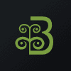 Brijlaxmi Leasing & Finance Limited