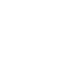 BioRestorative Therapies, Inc.