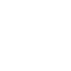 Biotricity, Inc.