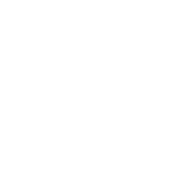 Bitcoin Gold USD