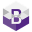 BitWhite USD