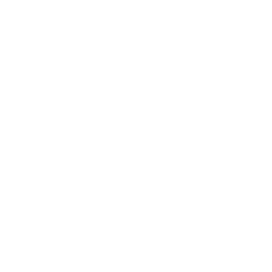 Bioventus Inc.