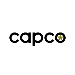 Capstone Companies, Inc.