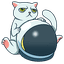 SimonsCat USD