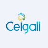 Ceigall India Ltd.