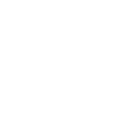 Cenntro Electric Group Limited