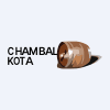 Chambal Breweries & Distilleries Limited