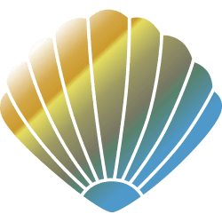 Clams USD