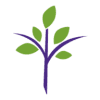 Commonwealth Global Fund