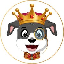 Collie Inu USD