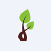 Contil India Limited