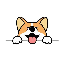Corgidoge USD