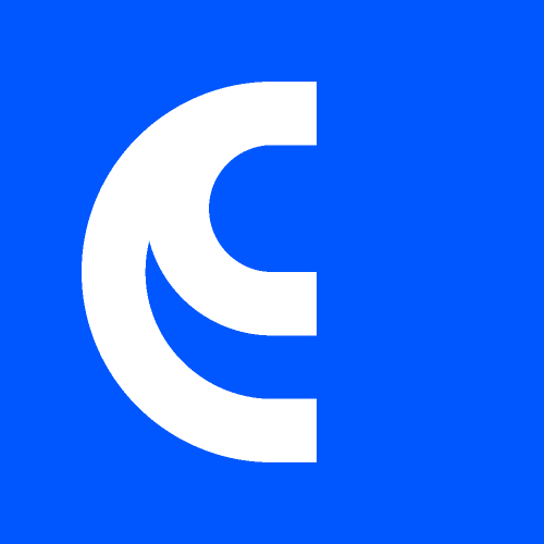 CoinsPaid USD
