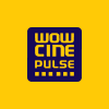 City Pulse Multiplex Limited