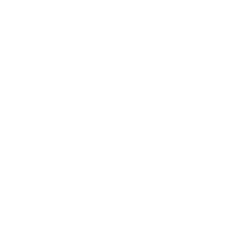 Cartesi USD