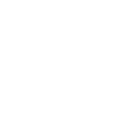 Torrid Holdings Inc.