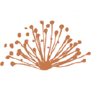 Caravel Minerals Limited