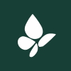 Cavvy Energy Ltd.